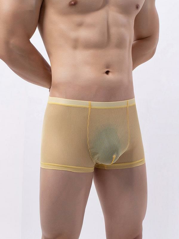 Lingerie |   Man’s Briefs Polyester Transparente Solid Clothing Lingerie