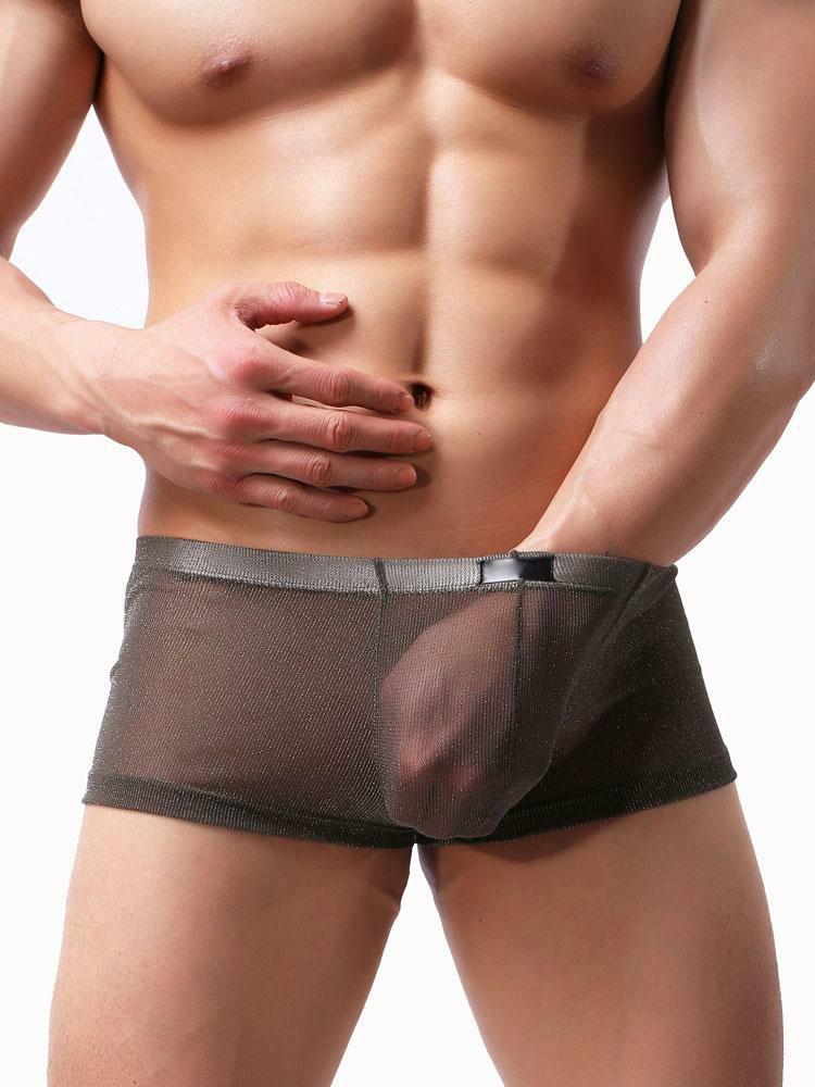 Lingerie |   Men Sexy Lingerie Nylon Sheer Grey Boy Shorts Clothing Lingerie