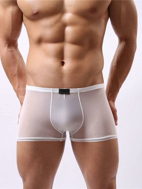 Lingerie |   White Sexy Panties Tulle Semi Sheer Men Boxer Briefs Clothing Lingerie